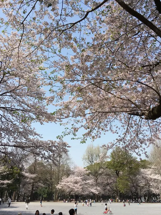 都立林試の森公園