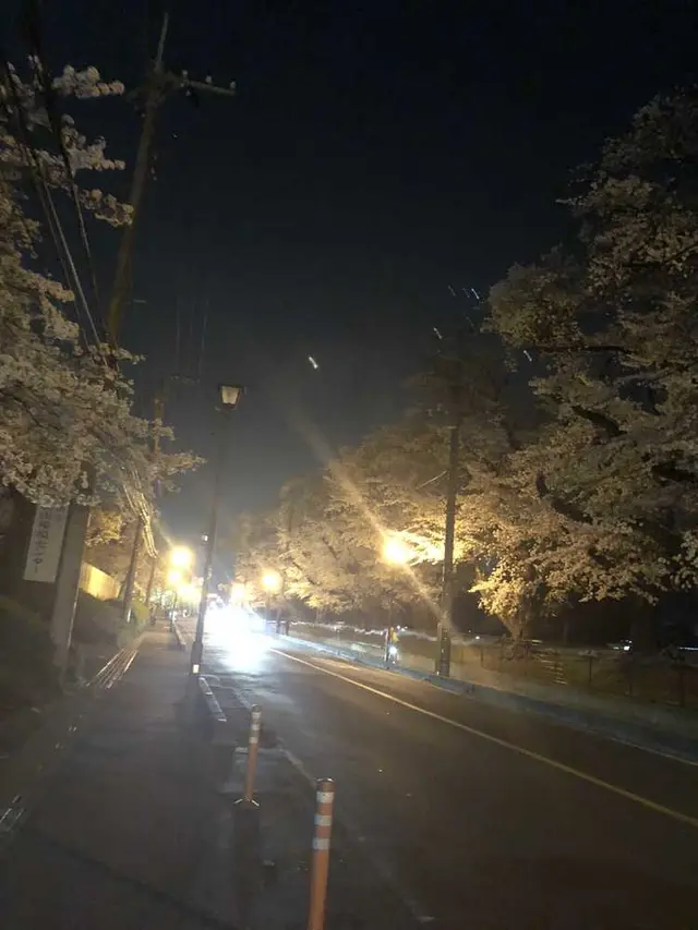 県営狭山稲荷山公園