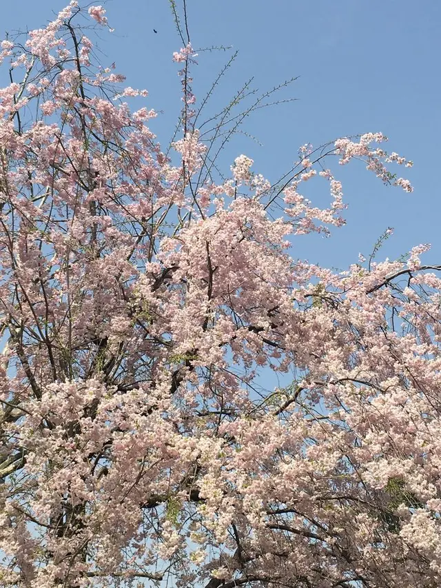 日比谷公園