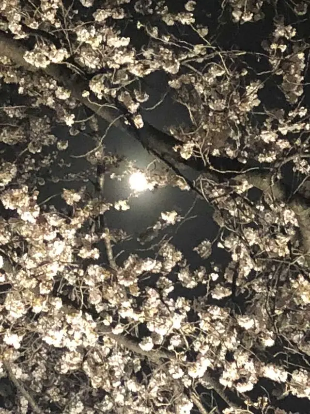 慈眼寺