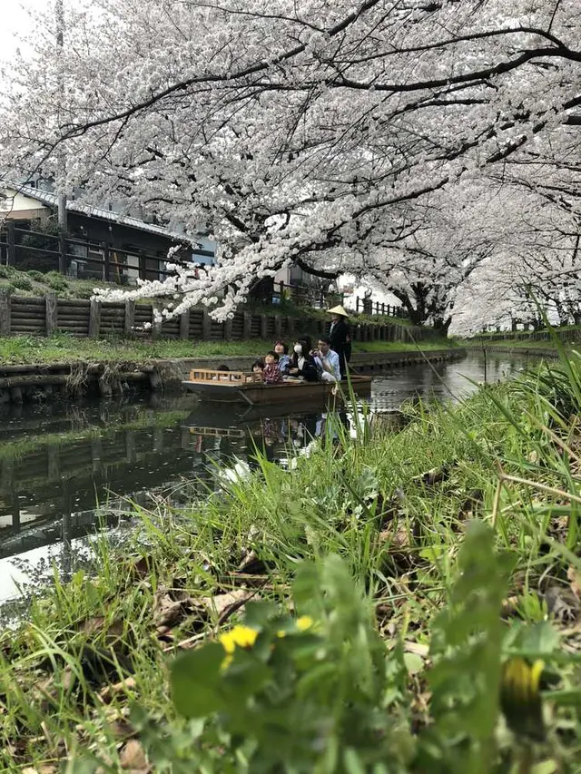 川越氷川神社