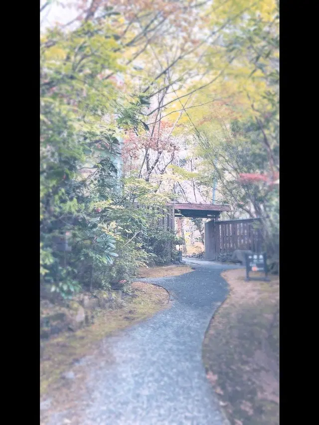 旅籠 かやうさぎ
