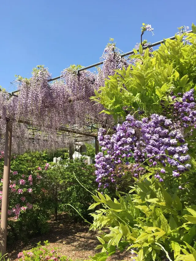 曼陀羅寺公園