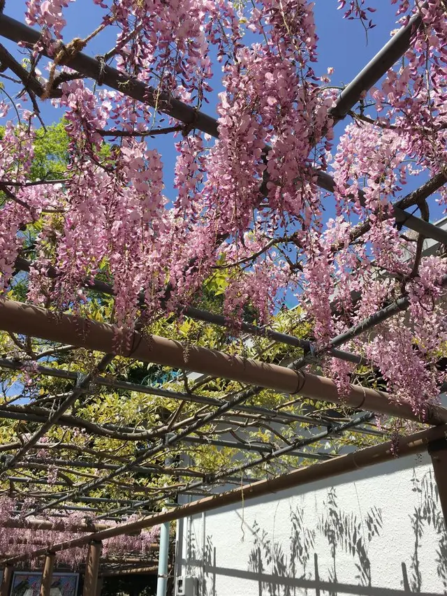 曼陀羅寺公園