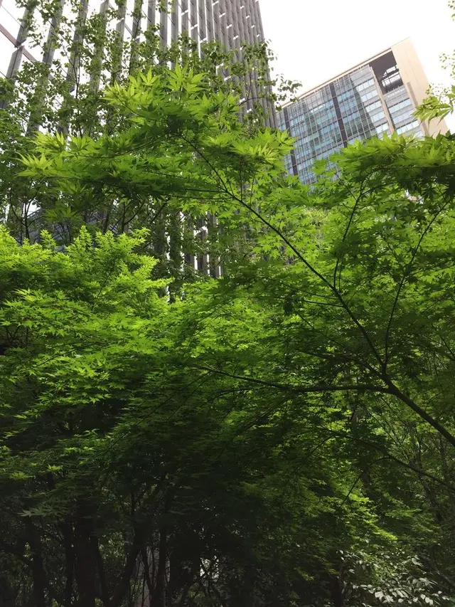 オーテモリ