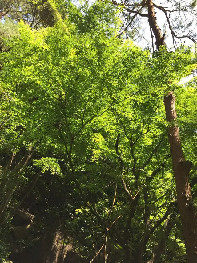 ホテル雅叙園東京（旧 目黒雅叙園）