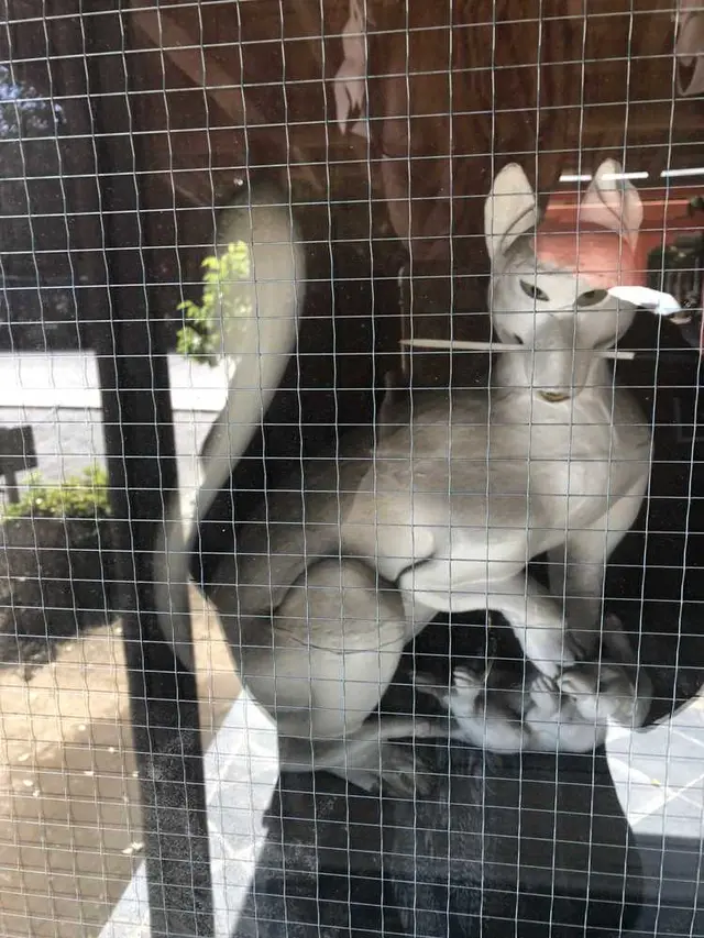箭弓稲荷神社