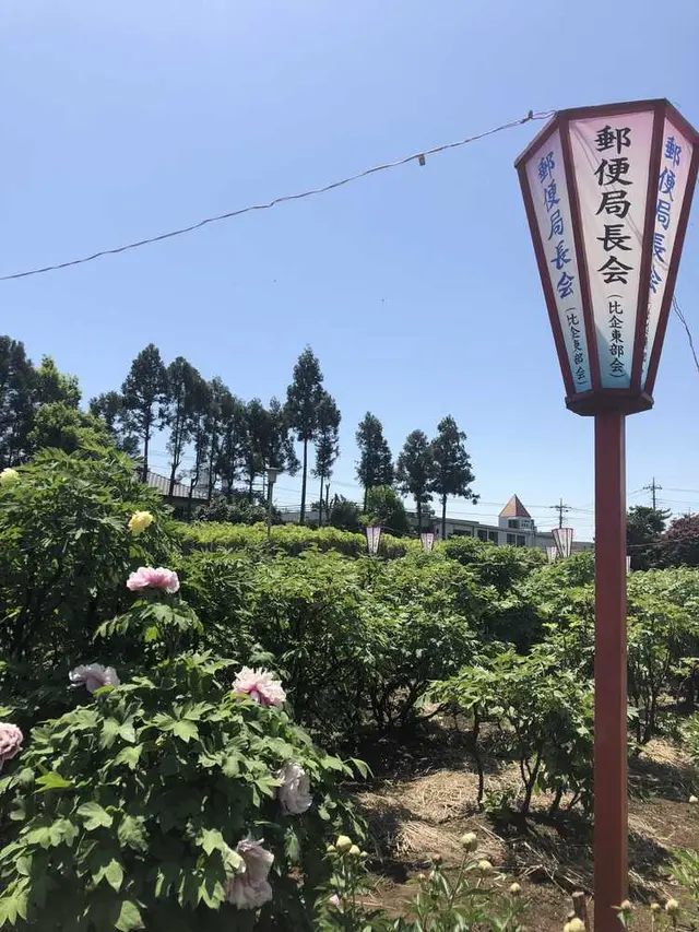 箭弓稲荷神社