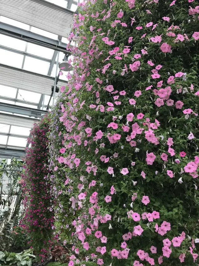 なばなの里