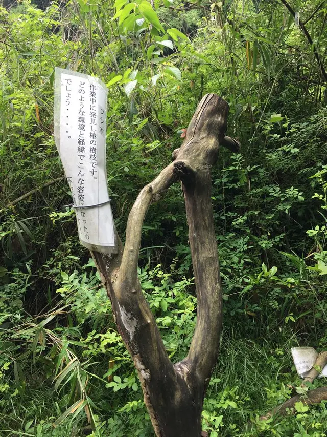 愛岐トンネル群