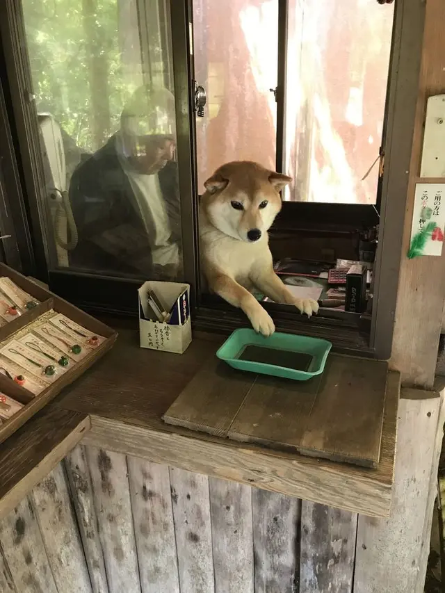 霊巌洞
