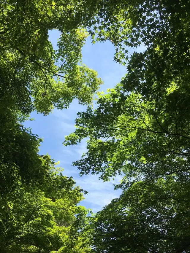 万博記念公園