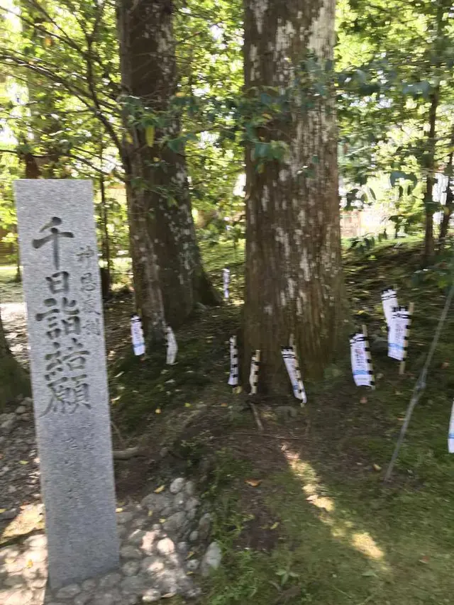 熊野古道大門坂