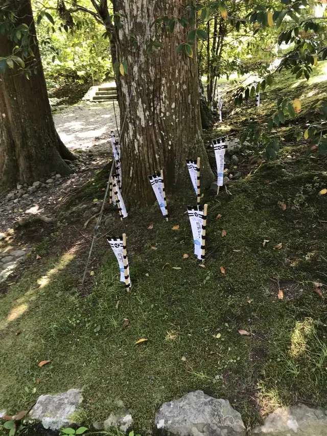 熊野古道大門坂