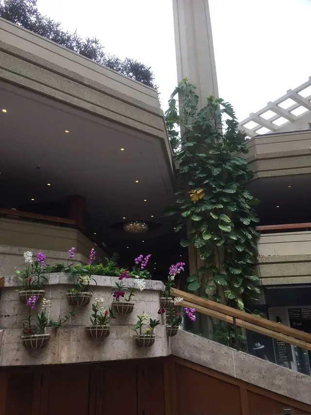 ハイアットリージェンシーワイキキビ-チ リゾート&スパ