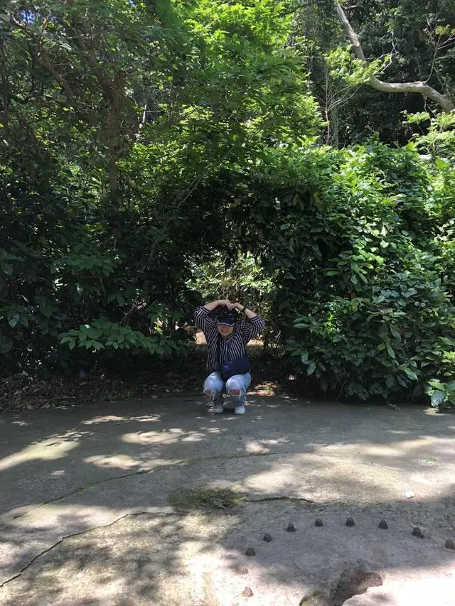 猿島
