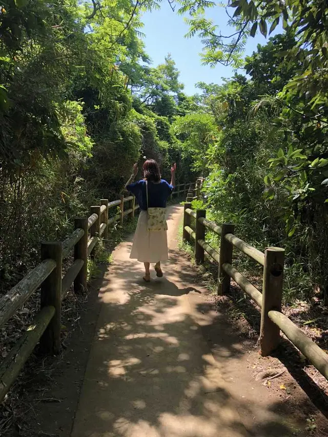 猿島