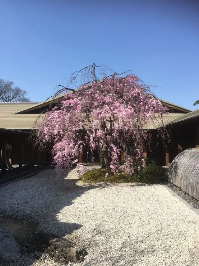 徳川園