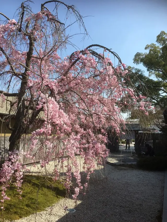 徳川園