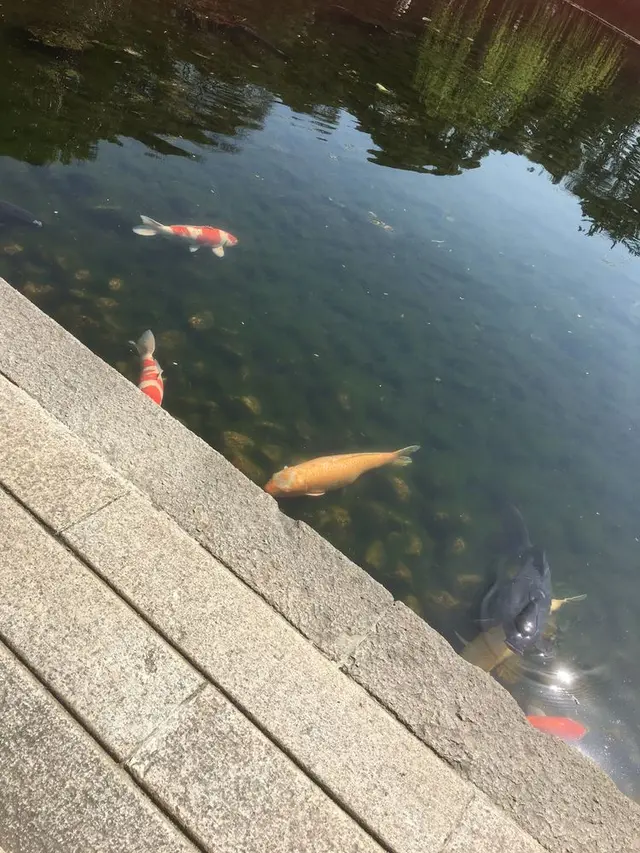 徳川園