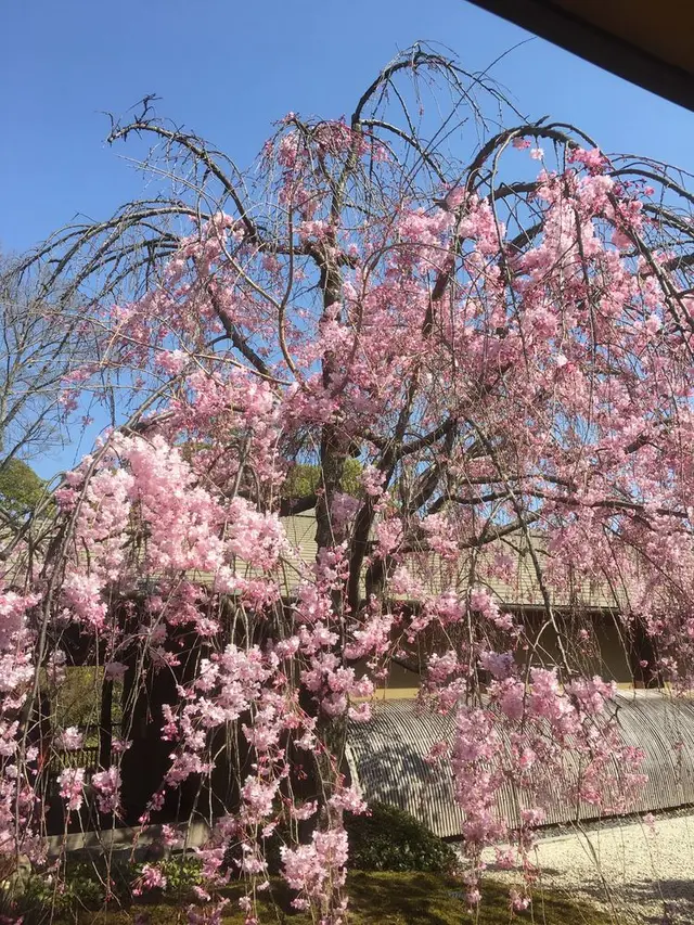 徳川園