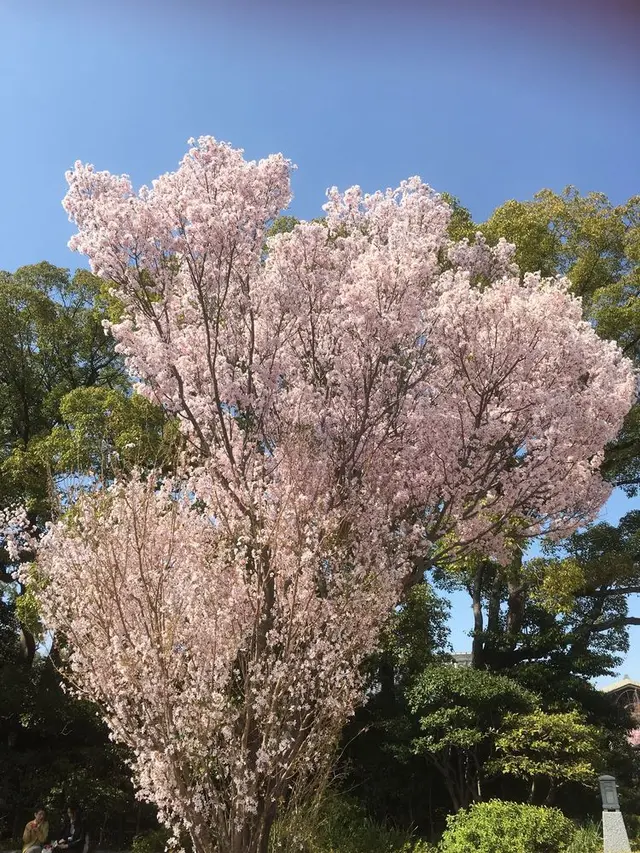 徳川園