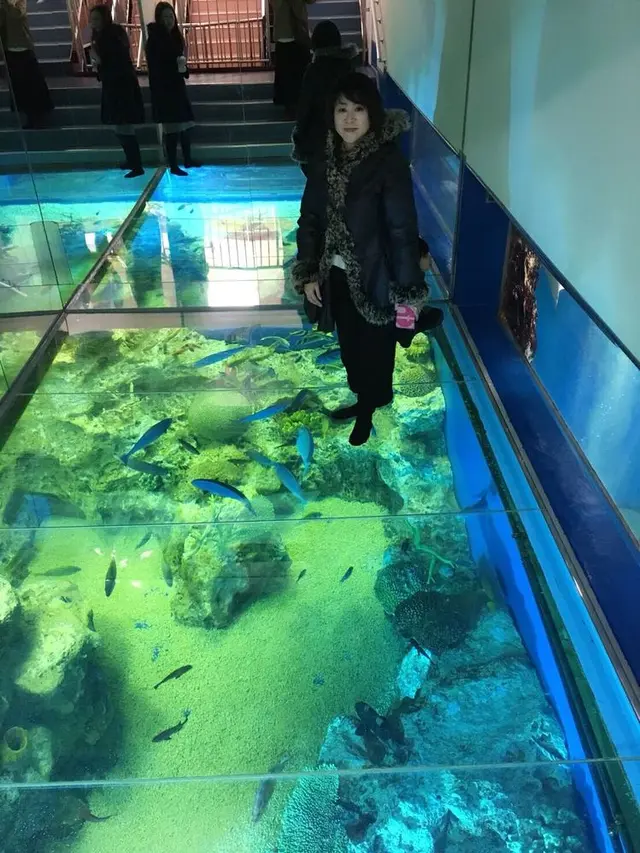 越前松島水族館