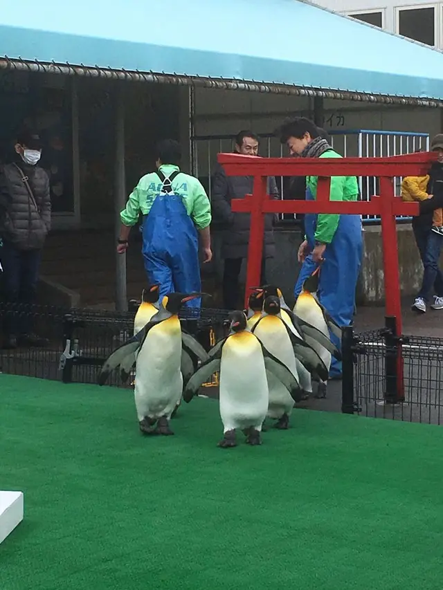 越前松島水族館
