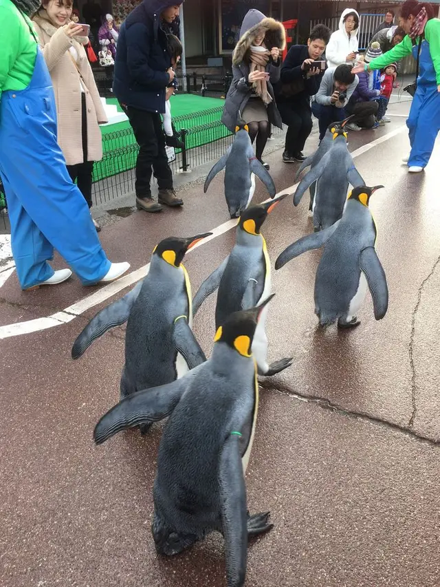 越前松島水族館
