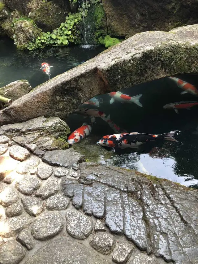 洛匠