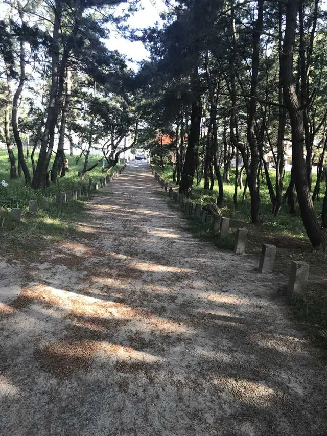 生の松原海岸森林公園