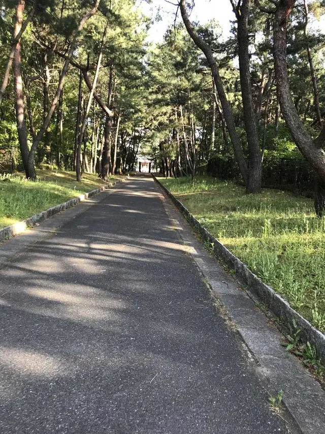 生の松原海岸森林公園