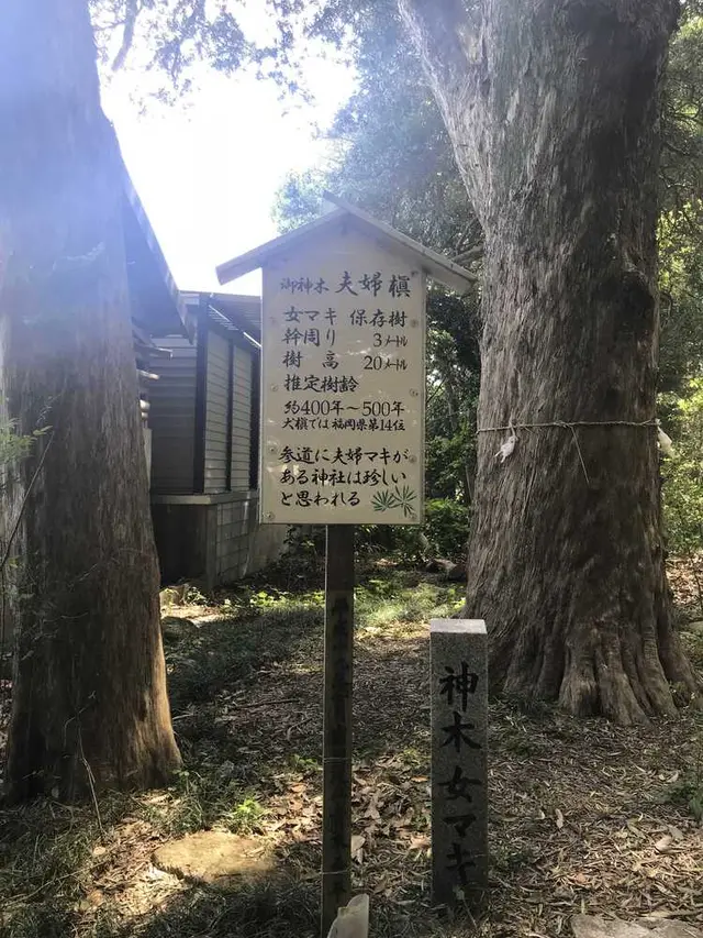 木の葉モール橋本