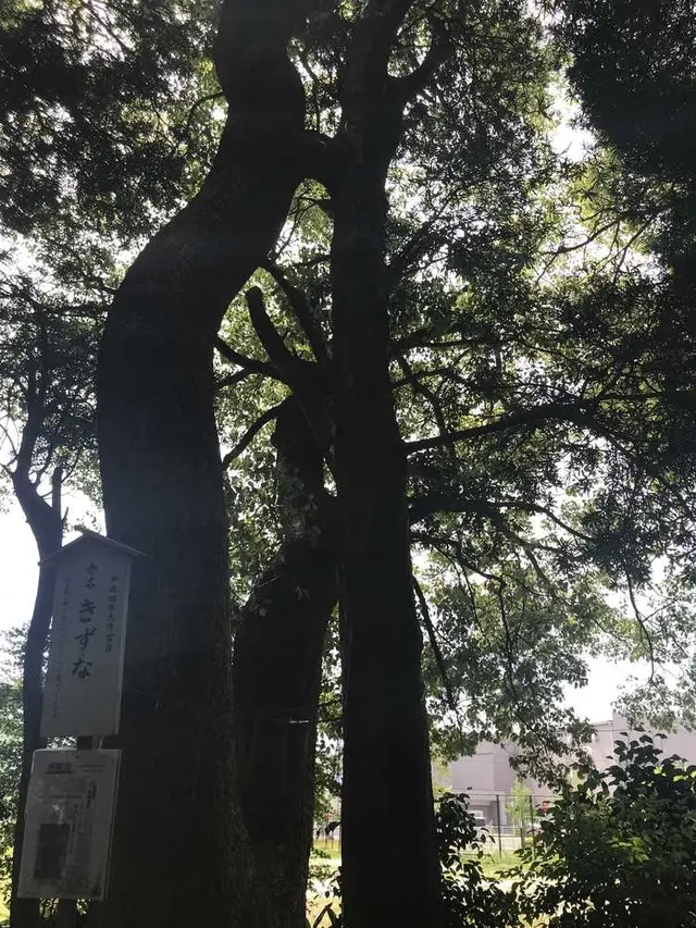 木の葉モール橋本