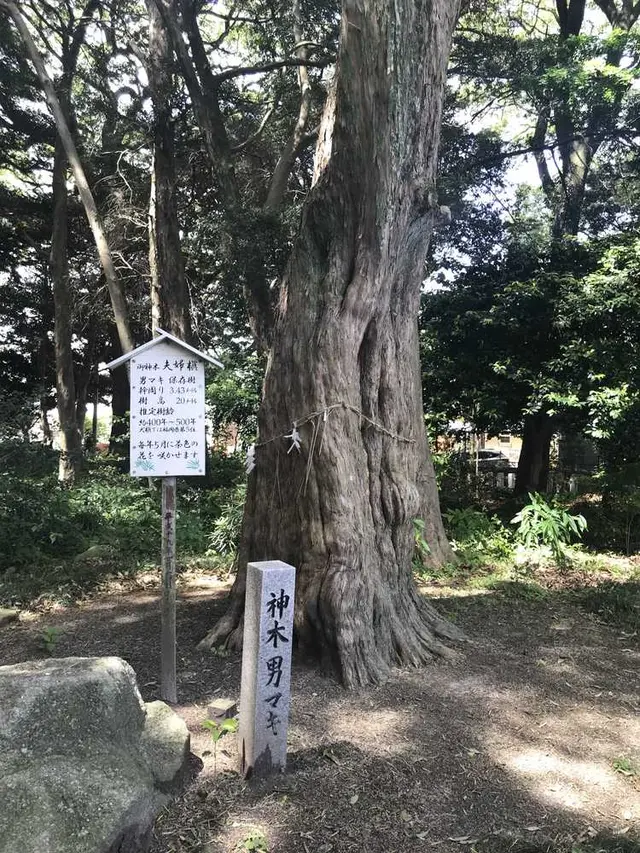 木の葉モール橋本