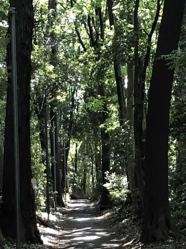野々下水辺公園