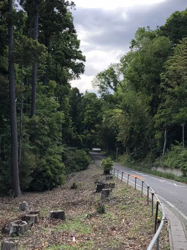 野々下水辺公園