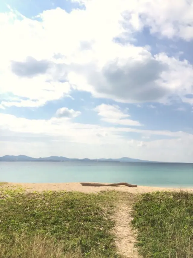 名護湾