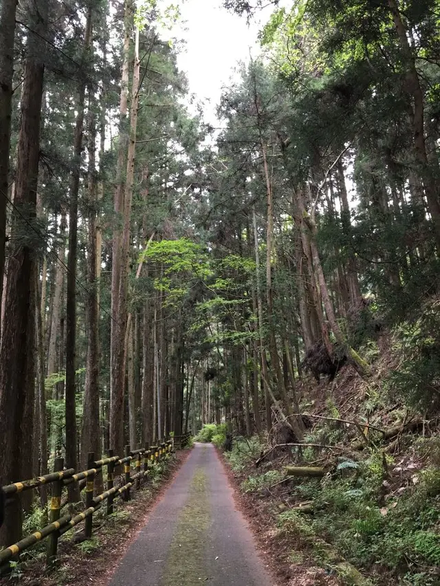 煤ヶ谷