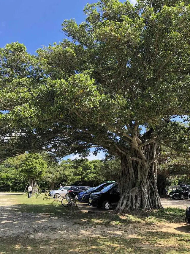 ANAインターコンチネンタル万座ビーチリゾート ダイビングセンター