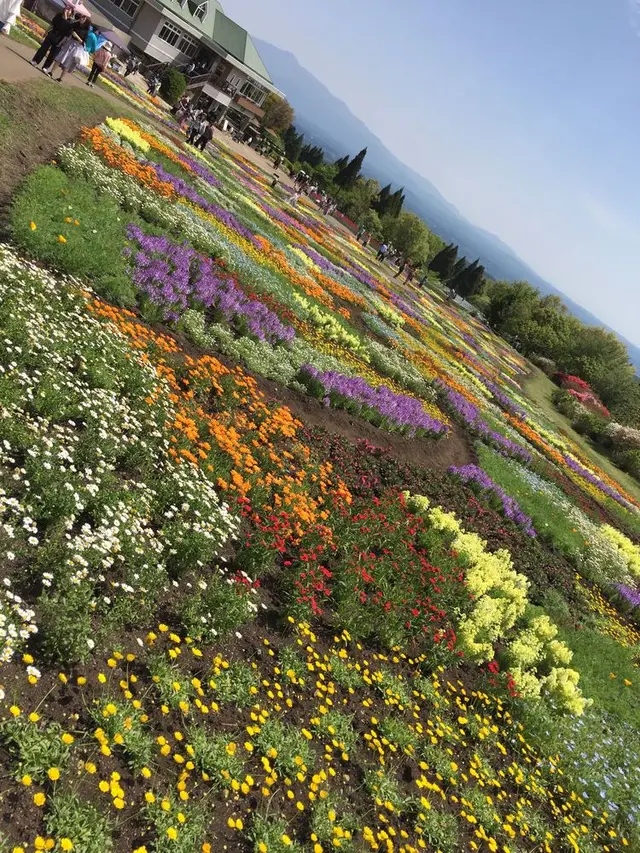 くじゅう花公園