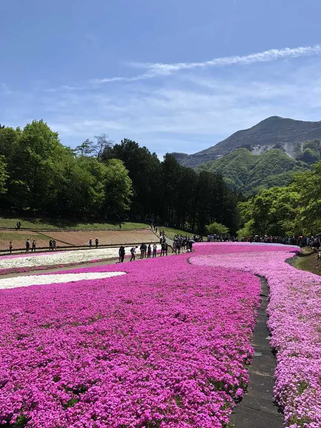 羊山公園