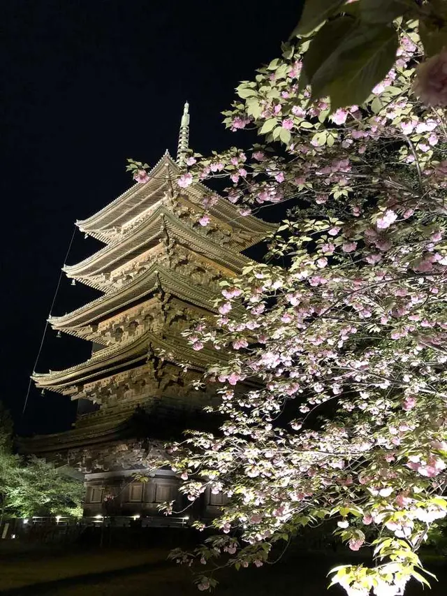 東寺 五重塔