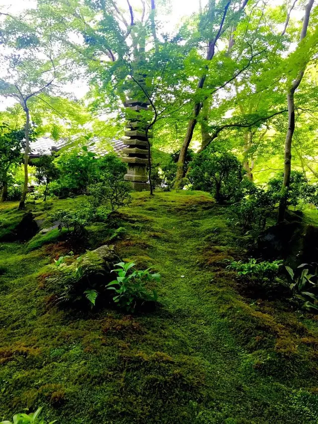 瑠璃光院