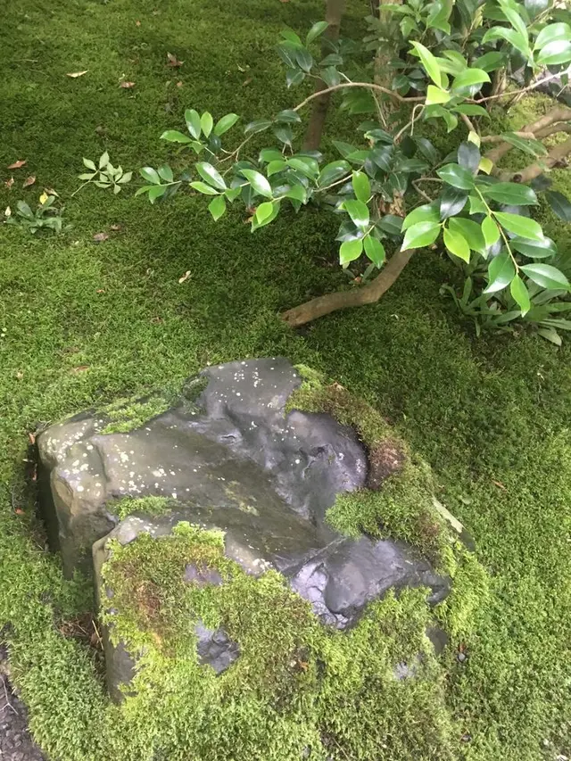 瑠璃光院