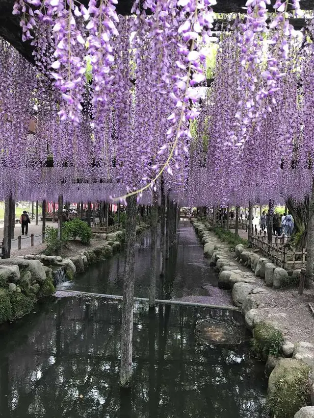 天王川公園