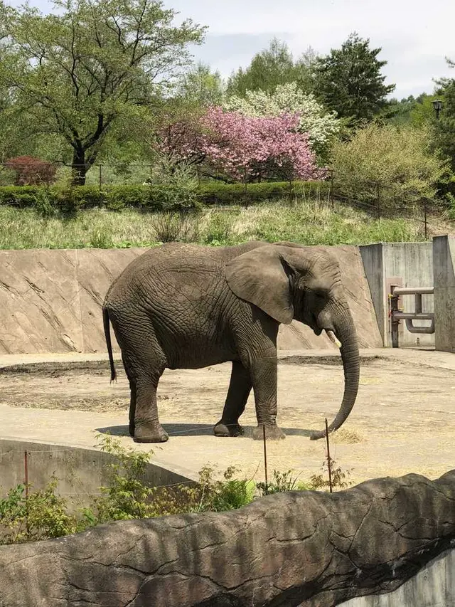 盛岡市動物公園