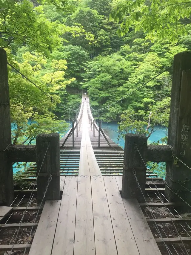 夢の吊橋