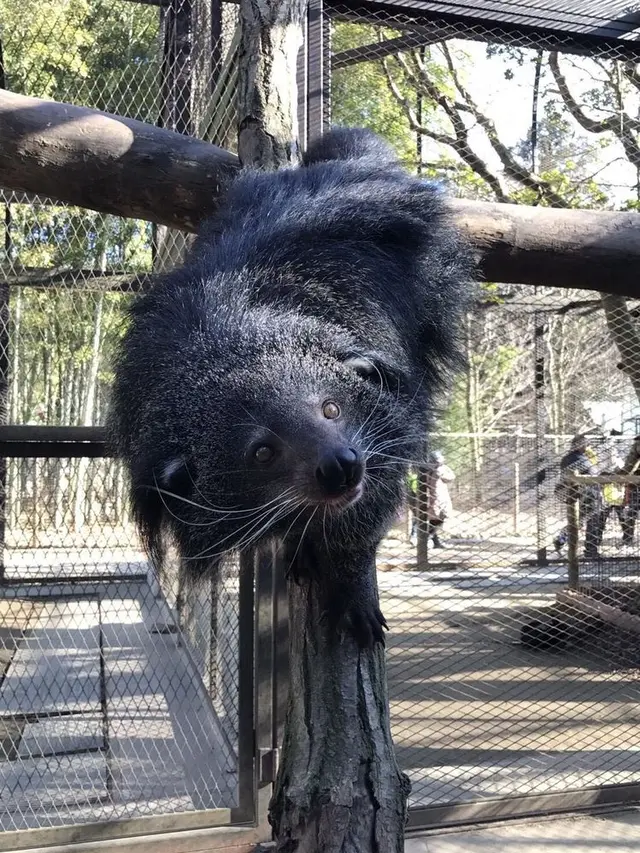 アニマルワンダーリゾウト（市原ぞうの国）