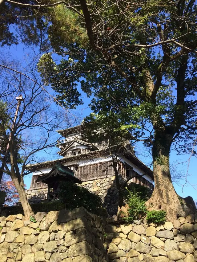 丸岡城